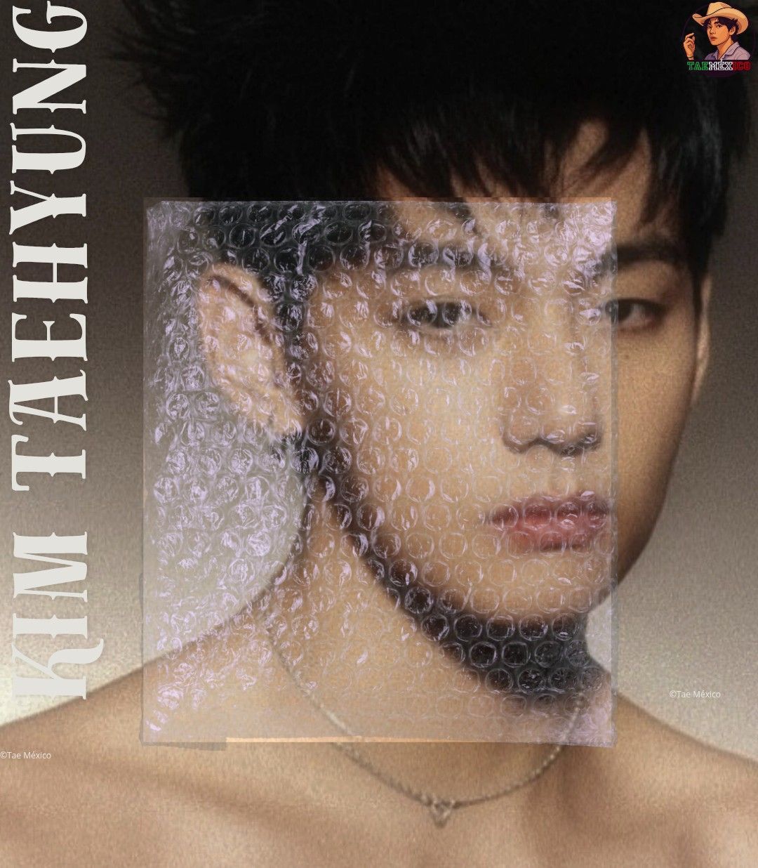 Potret di balik layar V (BTS)