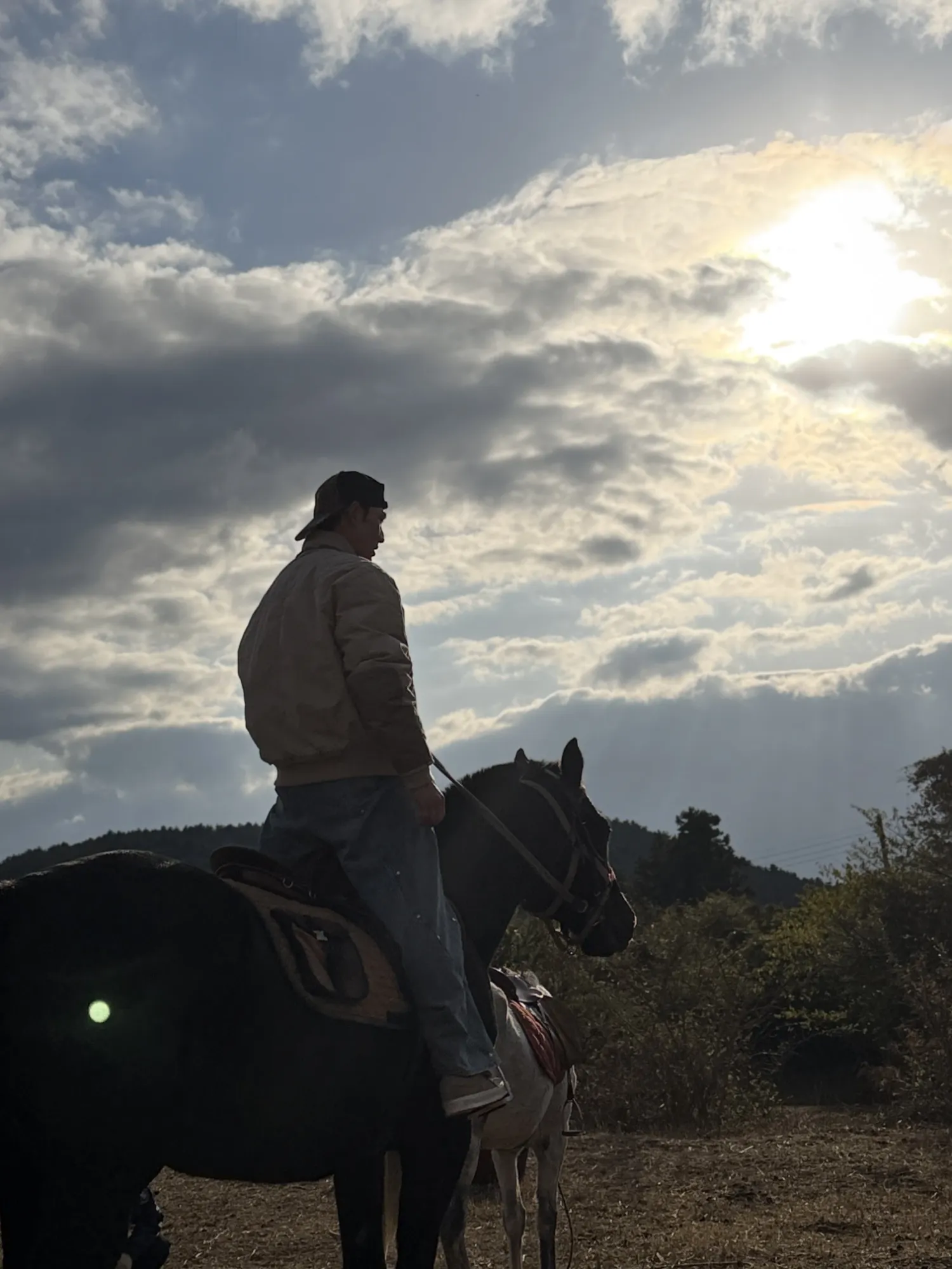 백호의 비하인드 컷