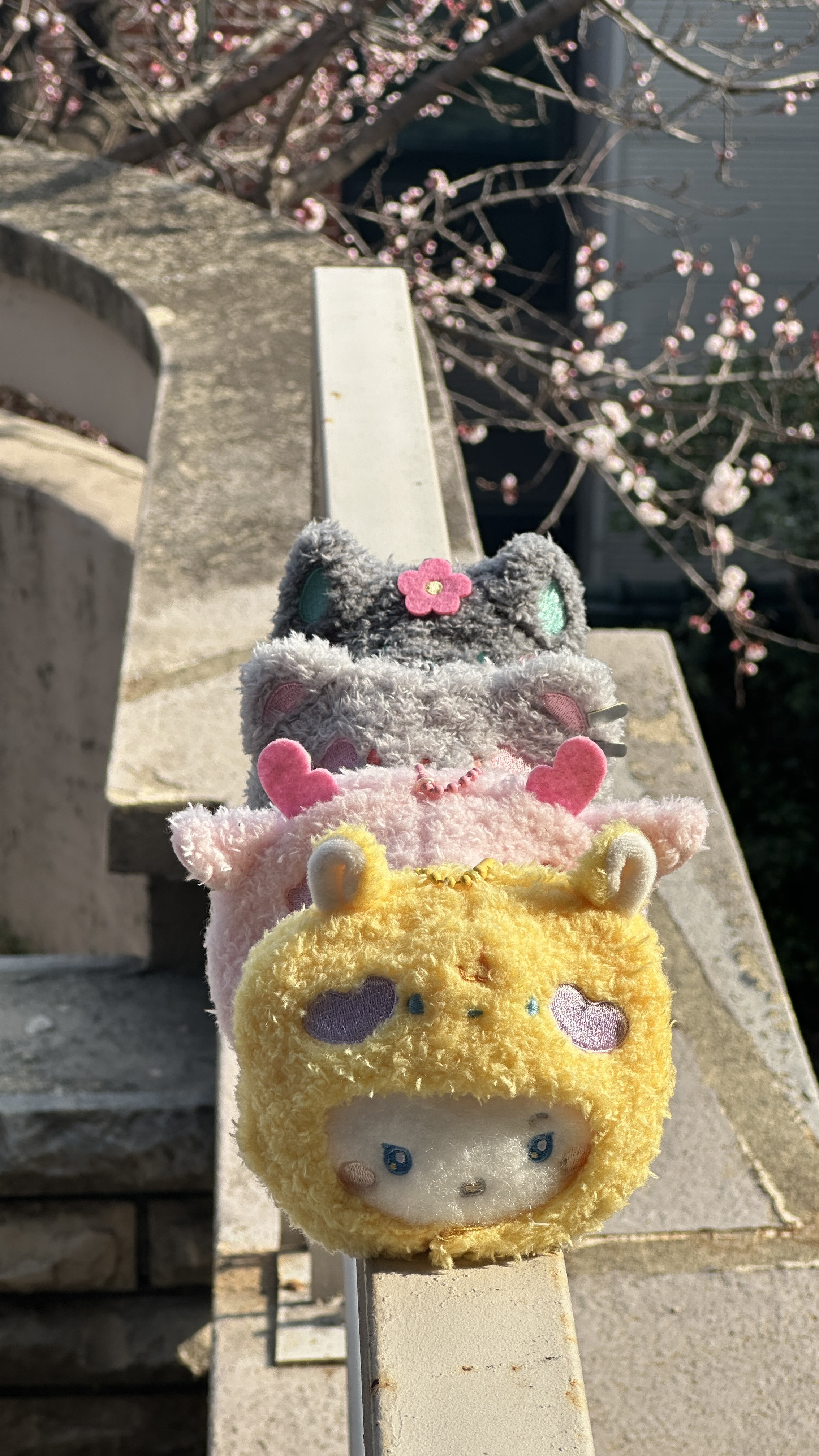 The most beloved wallpaper among ノア (PLAVE)'s fans