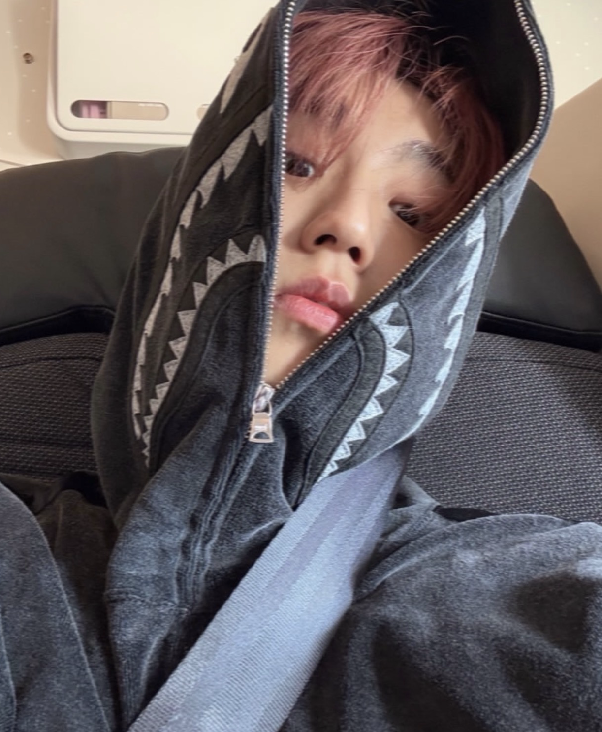Recent activity shot of HAN (Stray Kids)