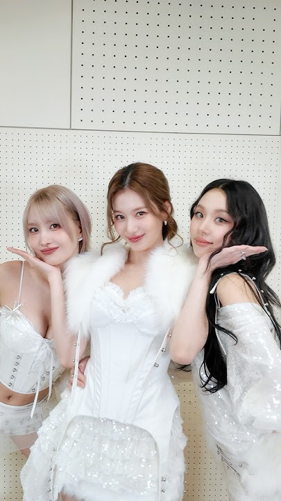 TWICE 팬이 찍은 순간