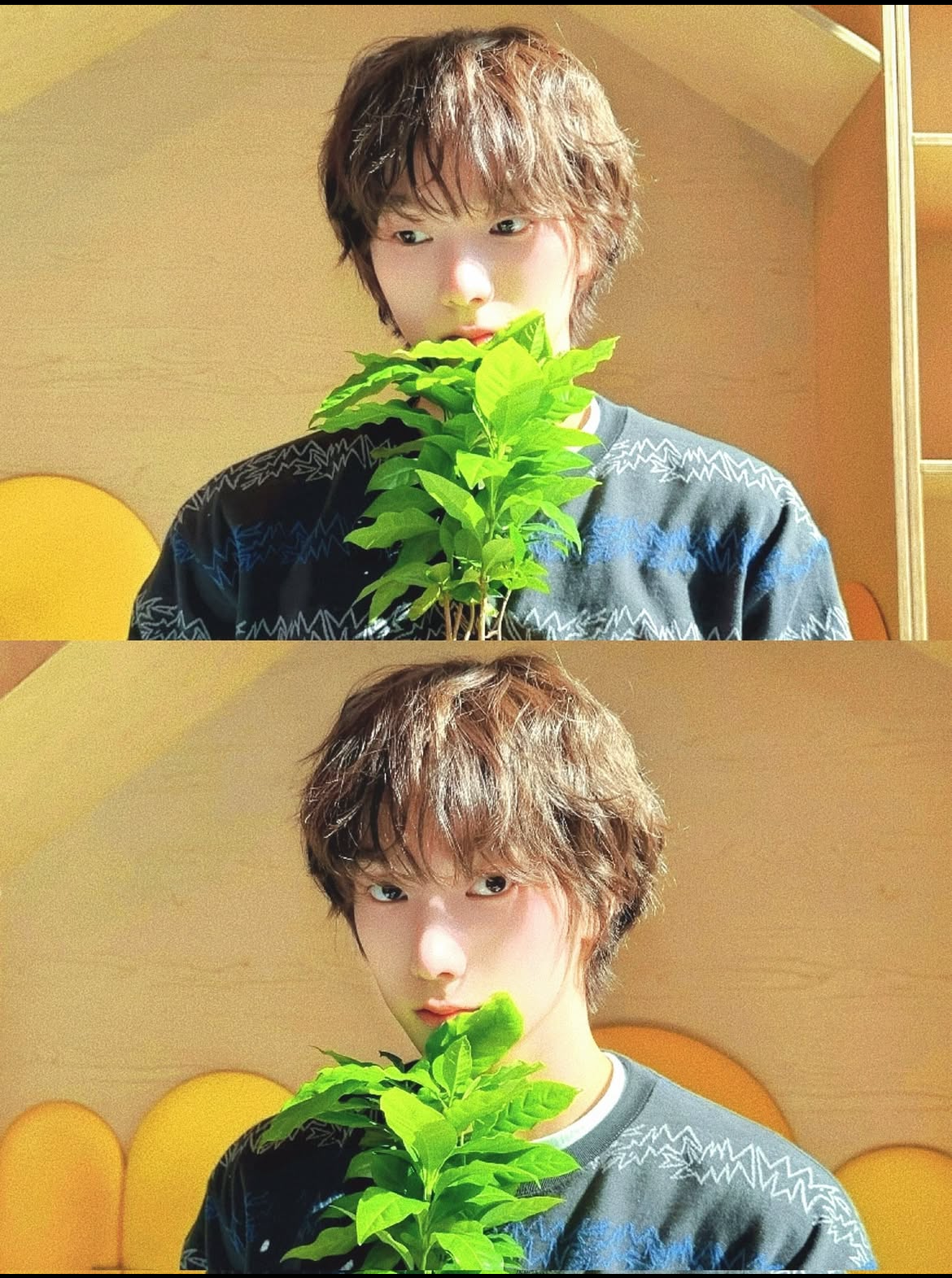 BOYNEXTDOORの最近の活動写真