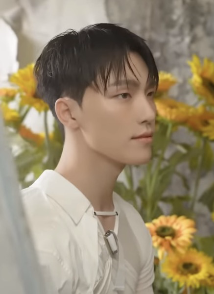 A moment captured by Dino (SEVENTEEN)'s fan