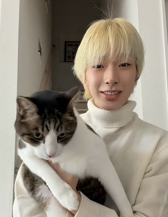 Recent activity shot of Tomoya (NEXZ)