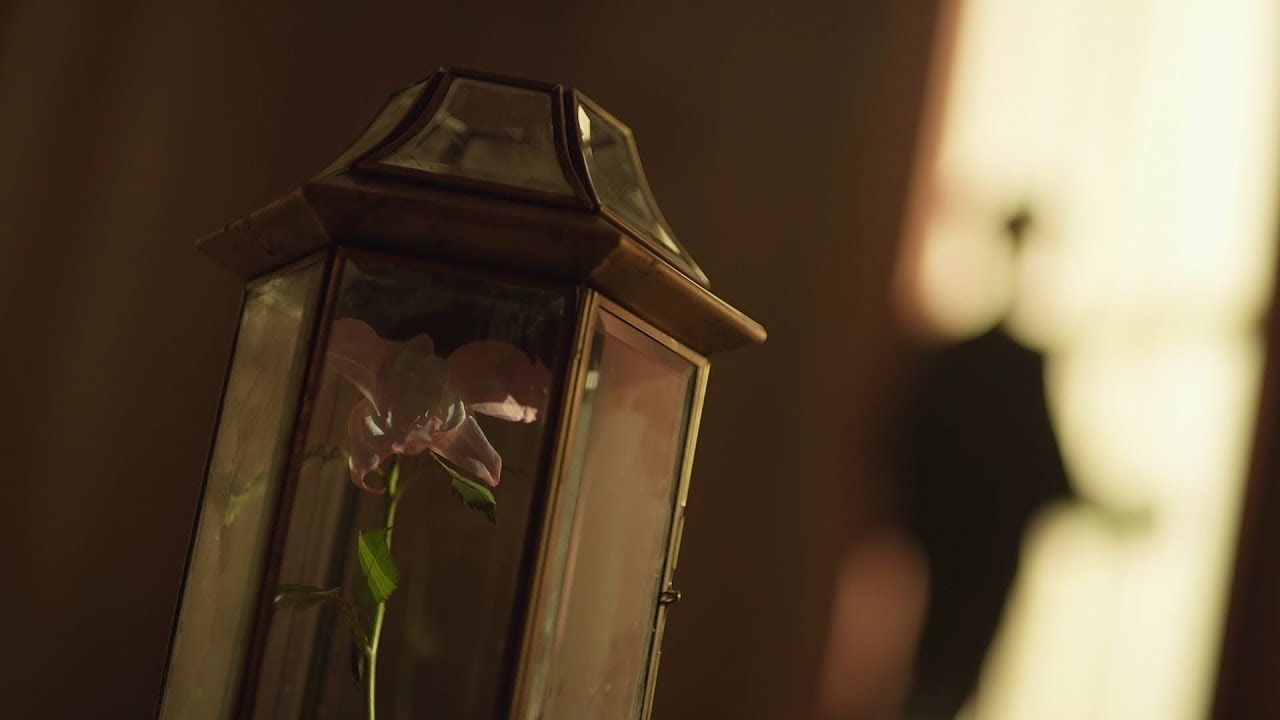 A moment captured by BTS's fan