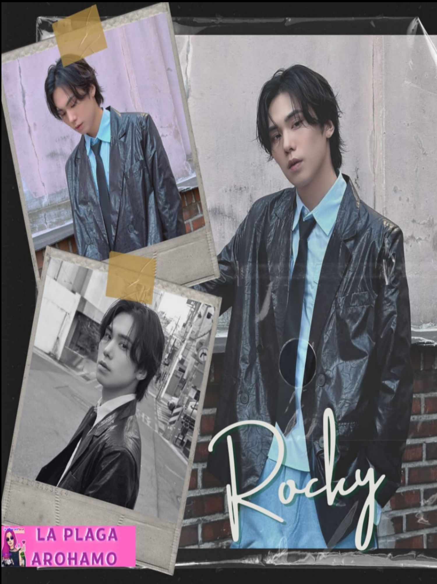 Latest photo of Rocky