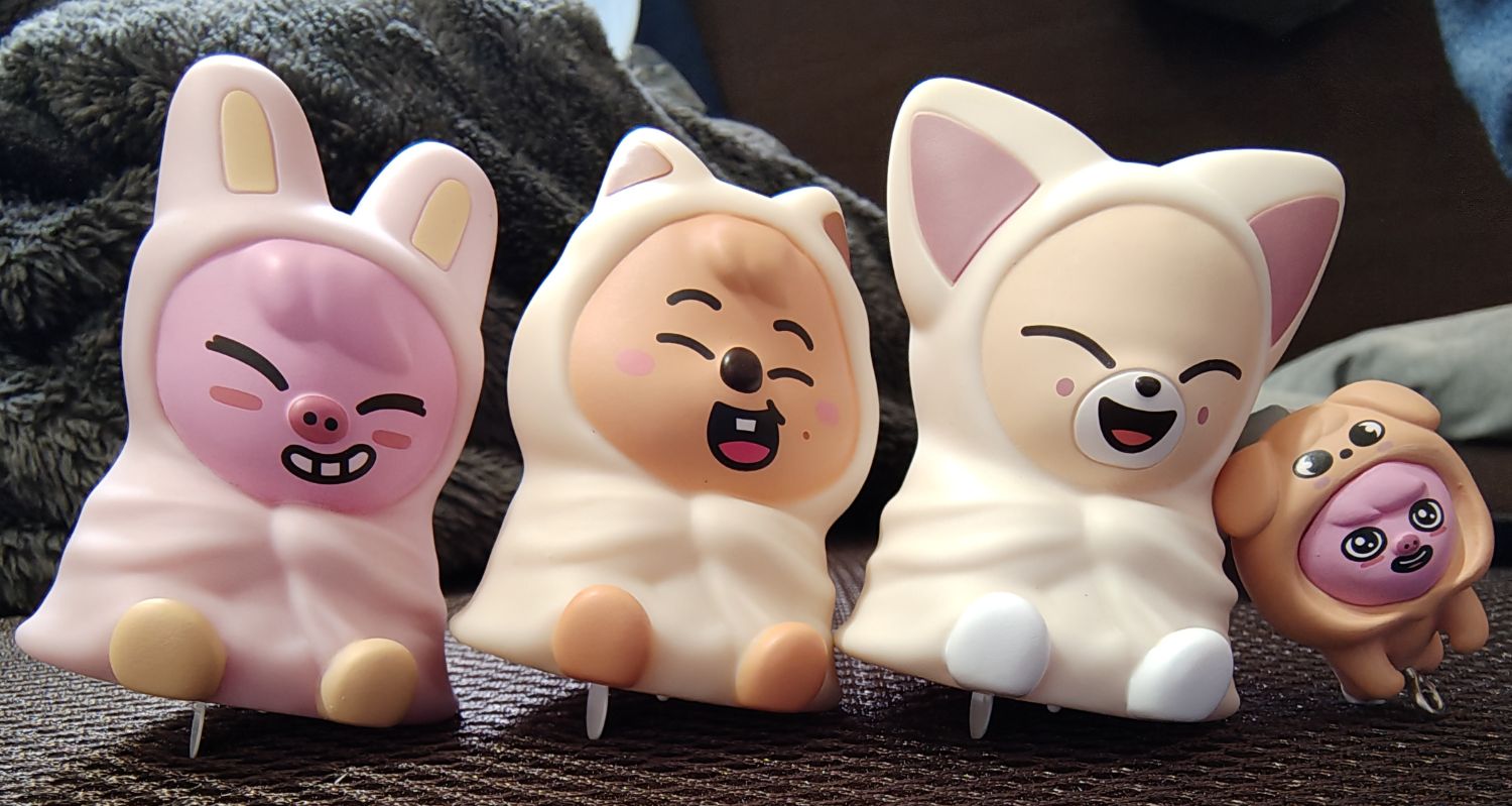 彰彬 (Stray Kids)粉丝拍下的瞬间