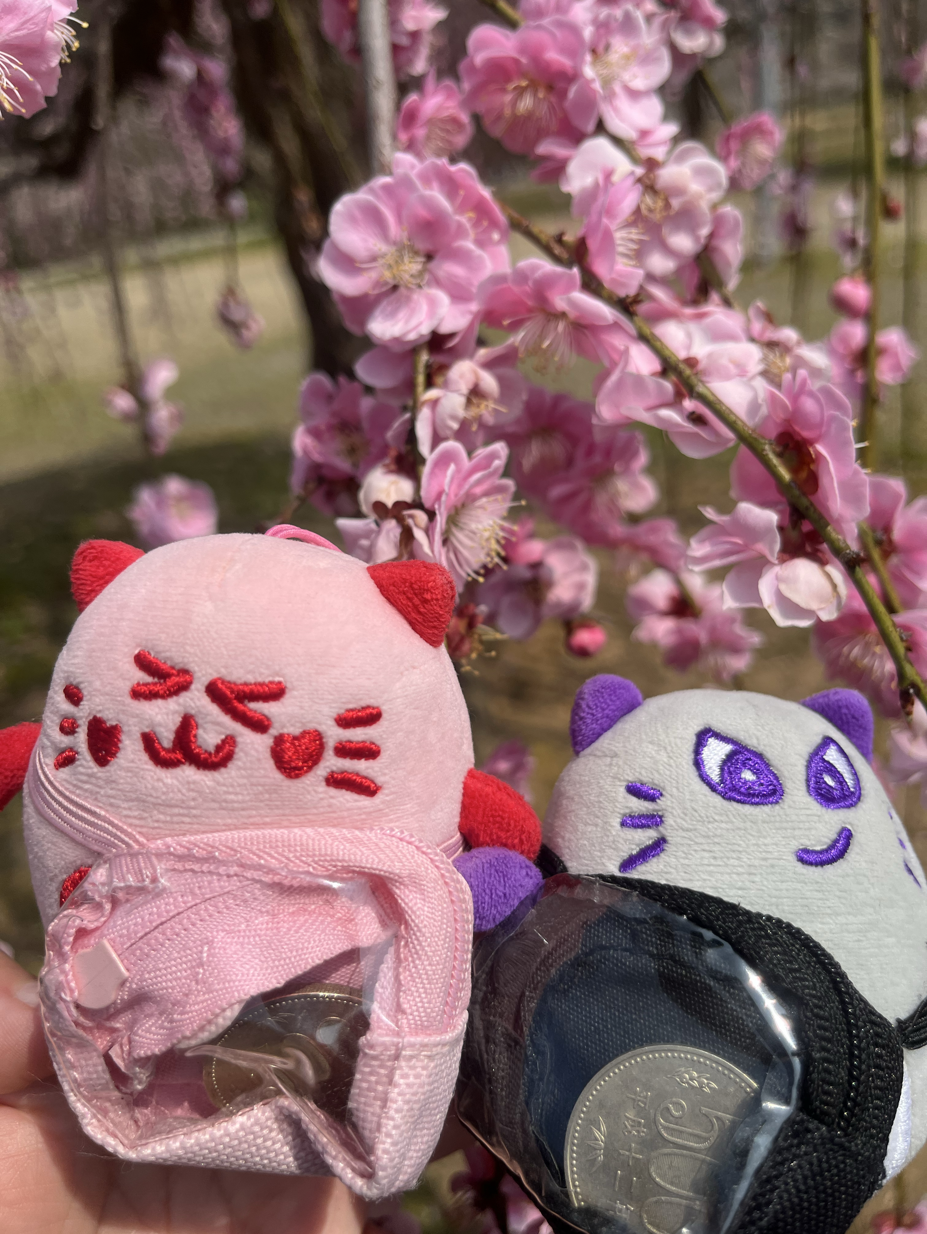 Behind-the-scenes cut of Rocky