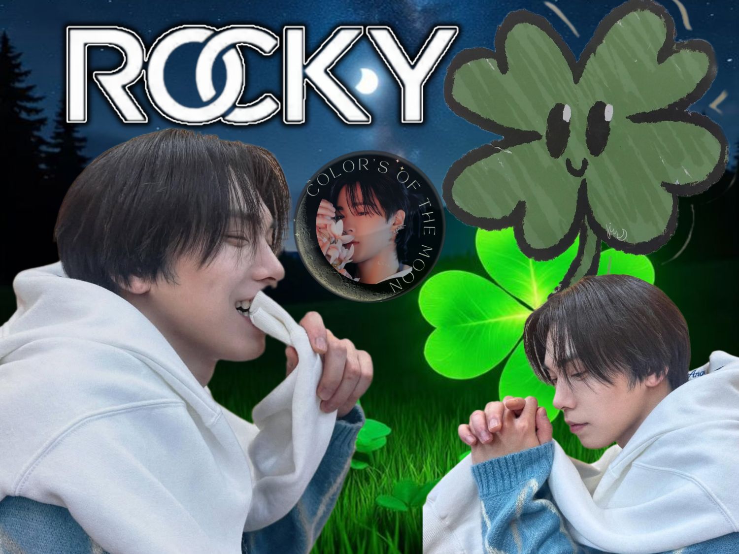 Recent activity shot of Rocky