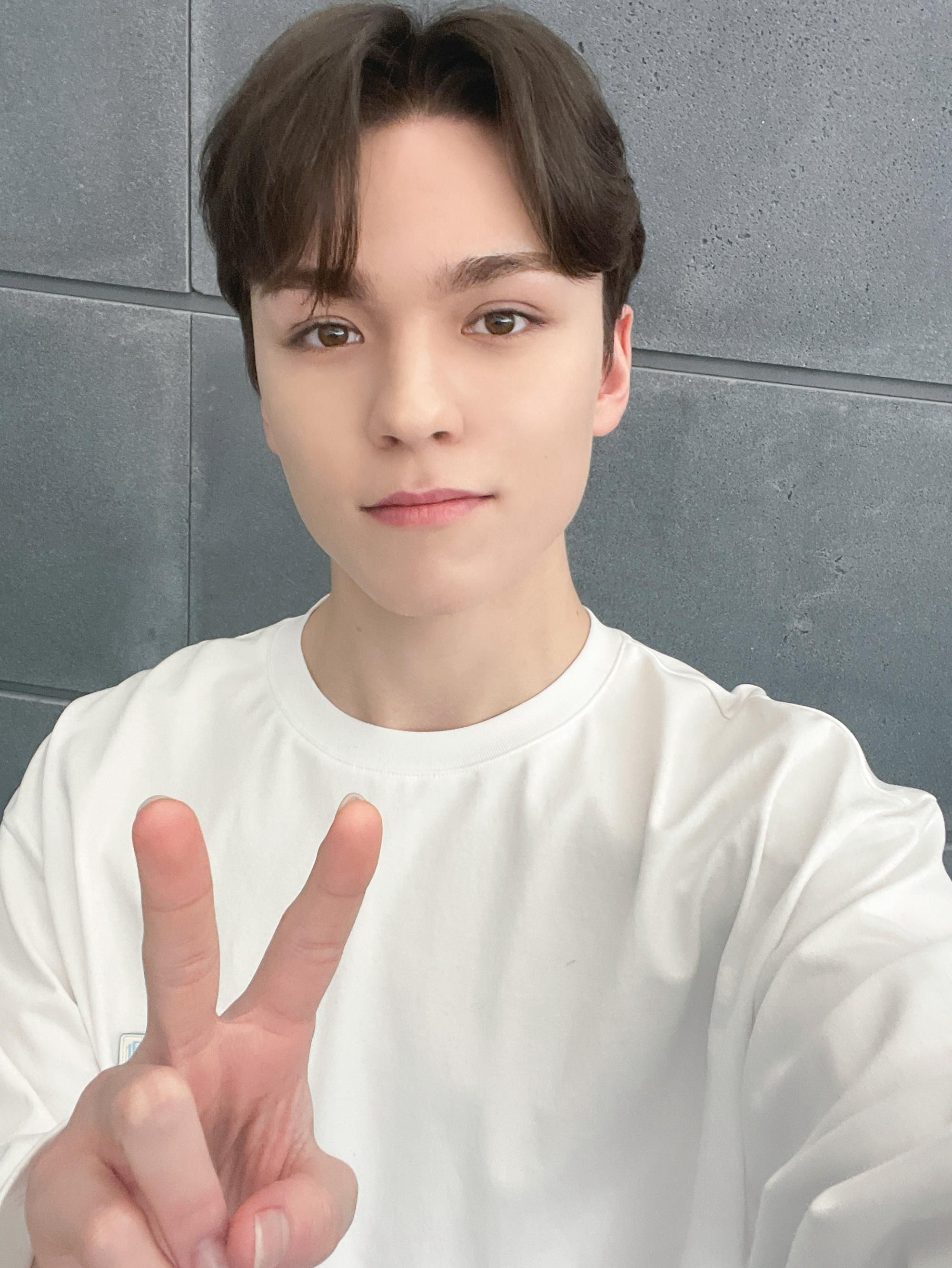 A moment captured by Vernon (SEVENTEEN)'s fan