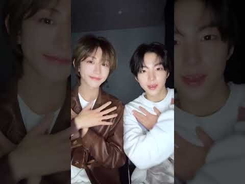 Recent activity shot of IDID