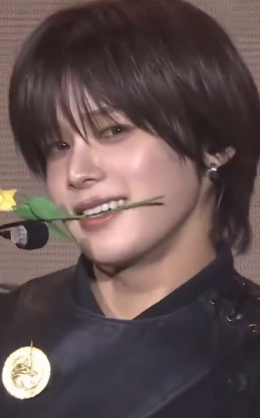 K (&TEAM)的最新活动照片