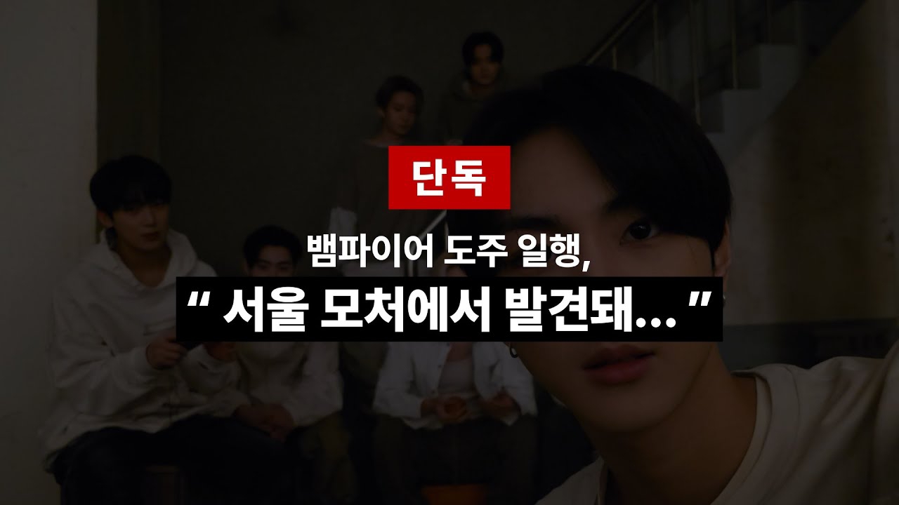 ENHYPEN 팬이 찍은 순간