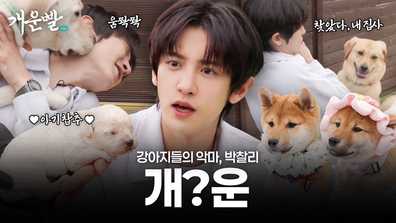 찬열 (EXO)의 비하인드 컷