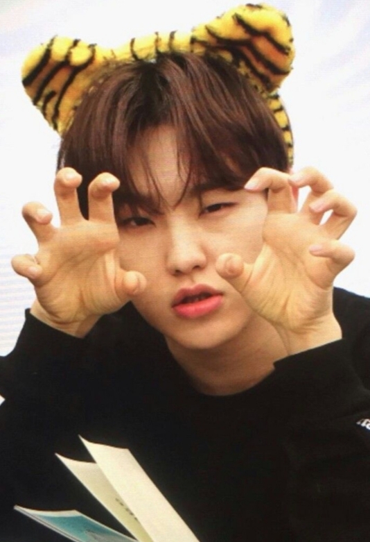 Hoshi (SEVENTEEN)的最新照片