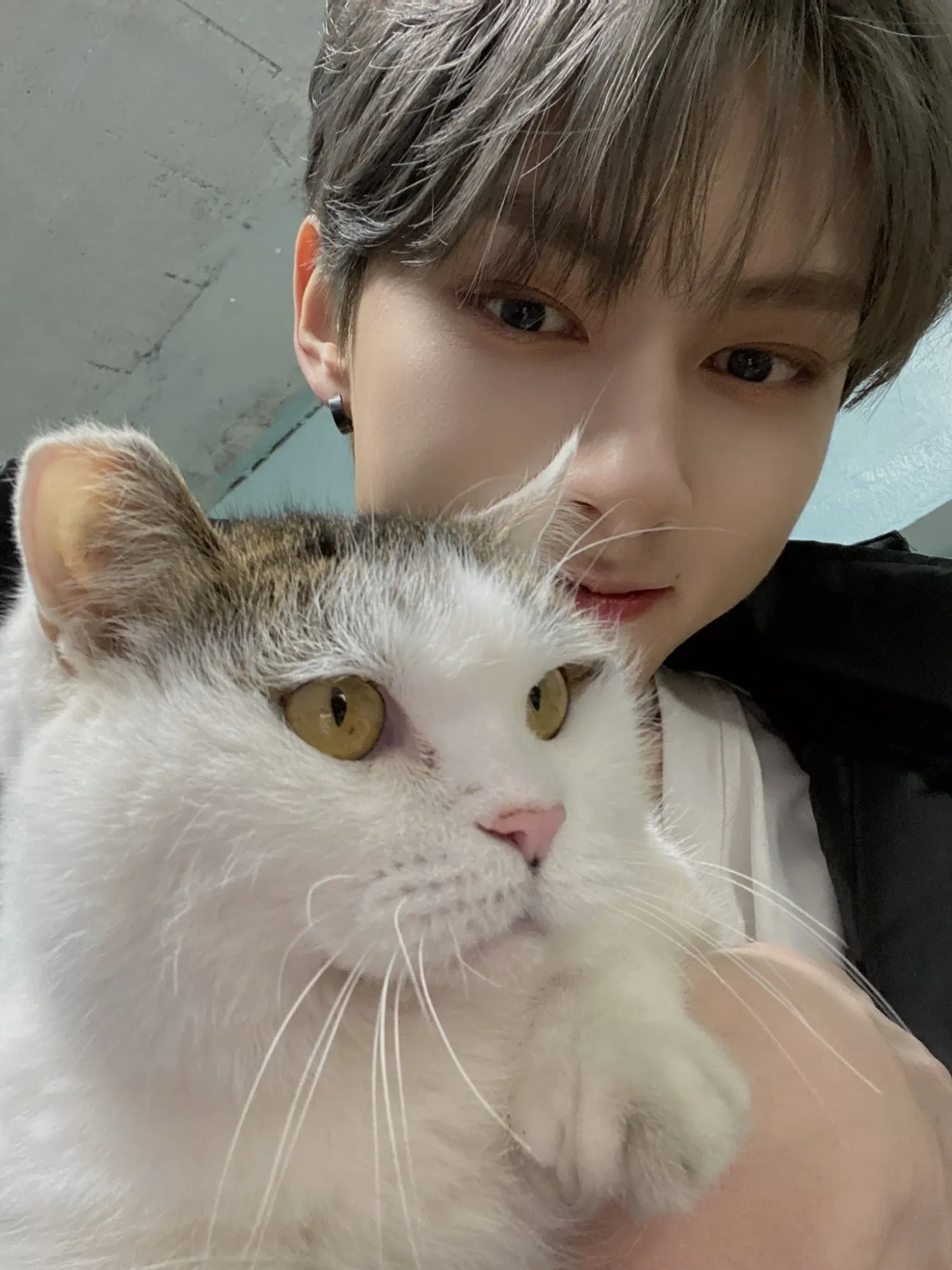 세븐틴의 비하인드 컷