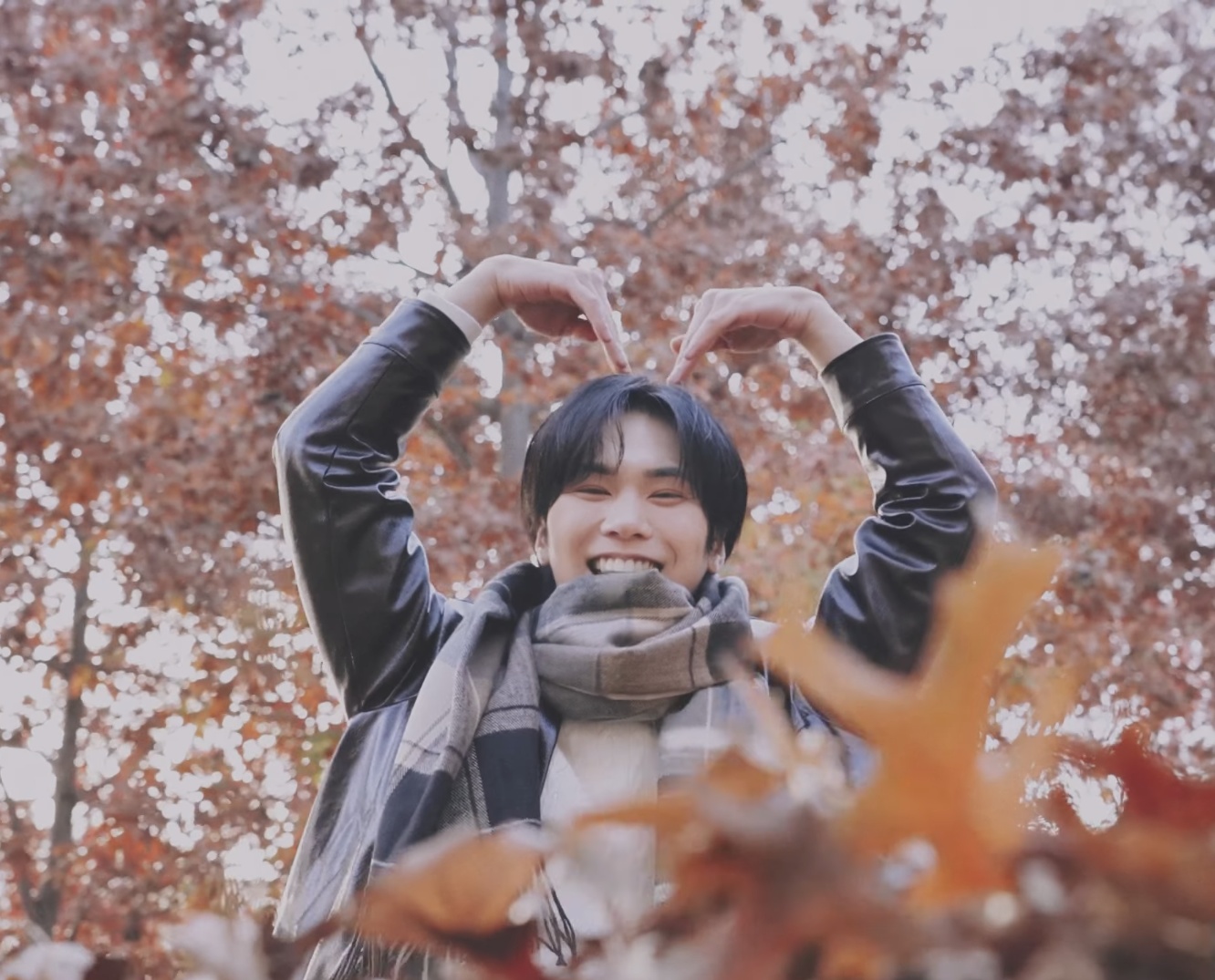 Latest photo of Rocky