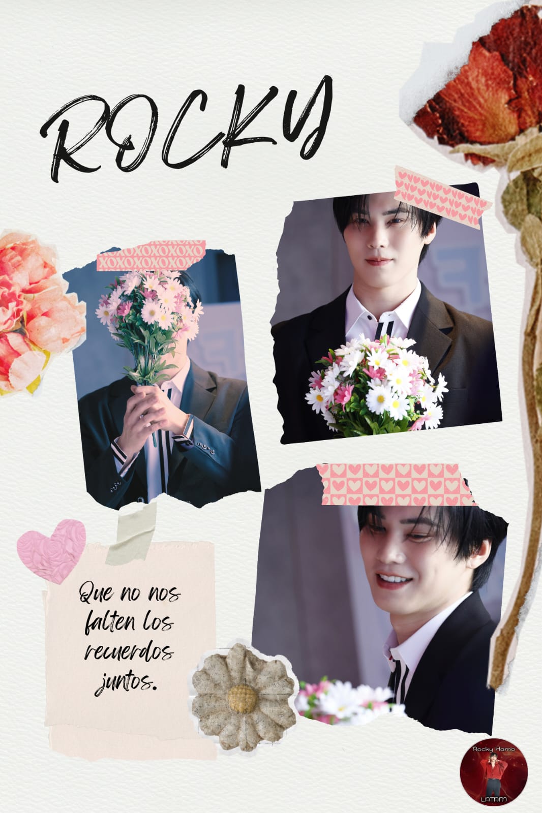 Latest photo of Rocky