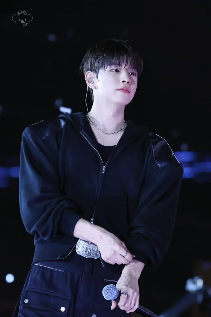 A moment captured by Seungmin (Stray Kids)'s fan