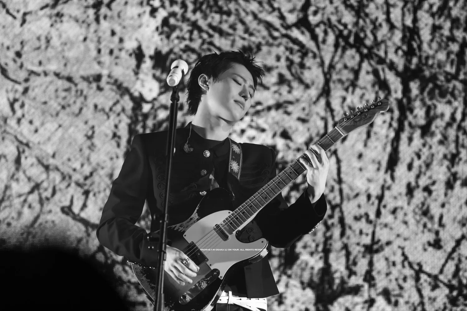 Latest photo of WOODZ