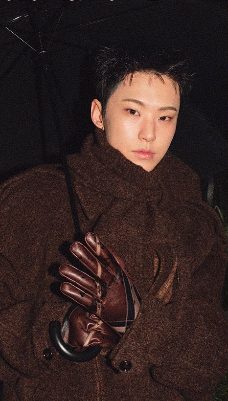 The most beloved wallpaper among Hoshi (SEVENTEEN)'s fans