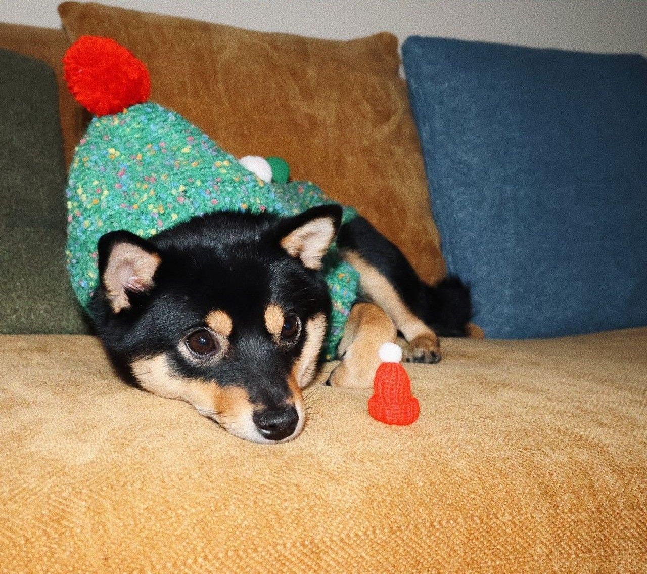 Behind-the-scenes cut of He Xinlong (ALPHA DRIVE ONE)