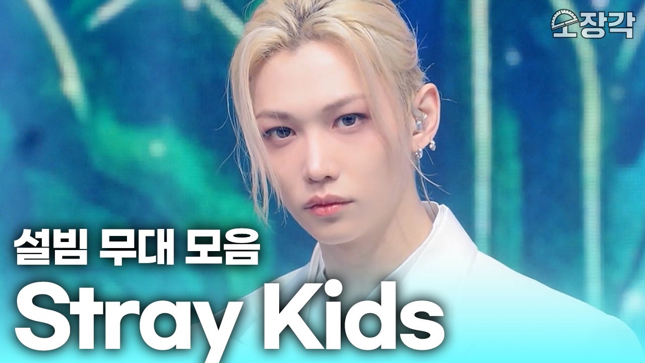 Stray Kids 팬이 찍은 순간
