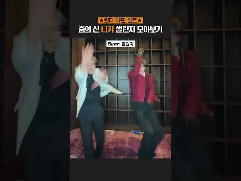 ENHYPEN 팬이 찍은 순간