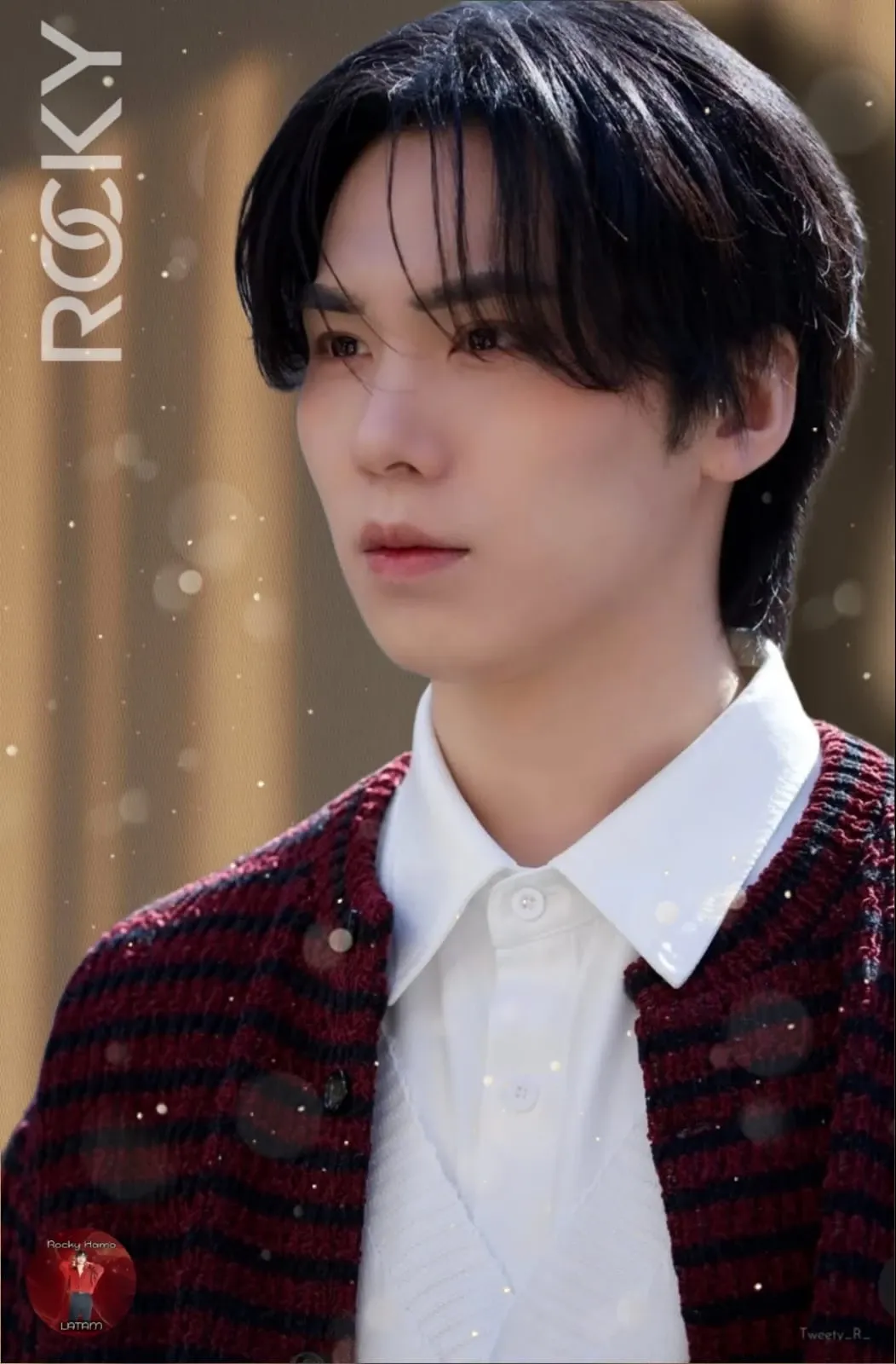 Recent activity shot of Rocky