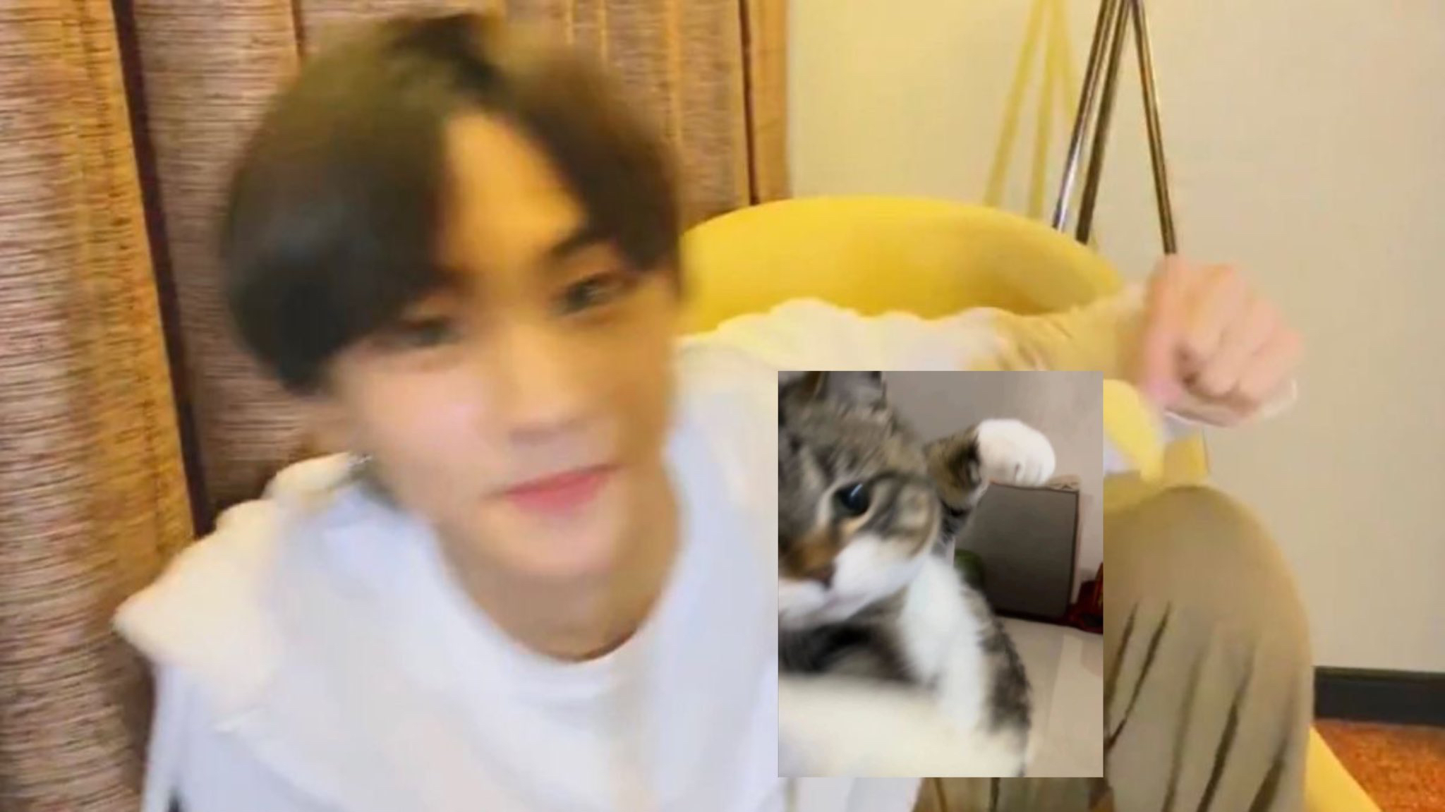 A moment captured by Jungwon (ENHYPEN)'s fan