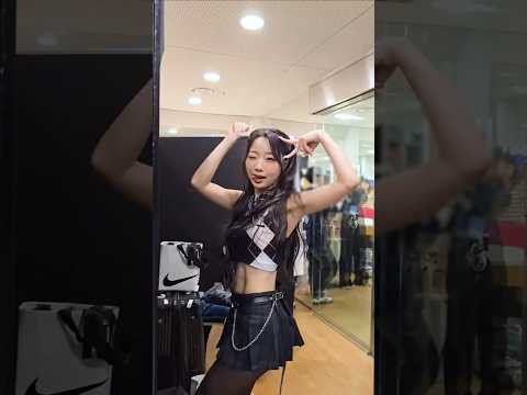 SECRET NUMBER 팬이 찍은 순간