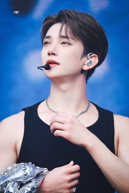 A moment captured by Joshua (SEVENTEEN)'s fan