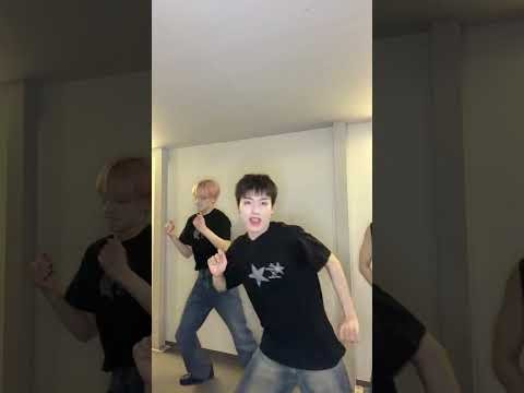 Latest photo of n.SSign