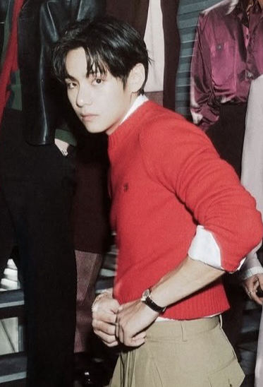 V (BTS)の舞台裏ショット