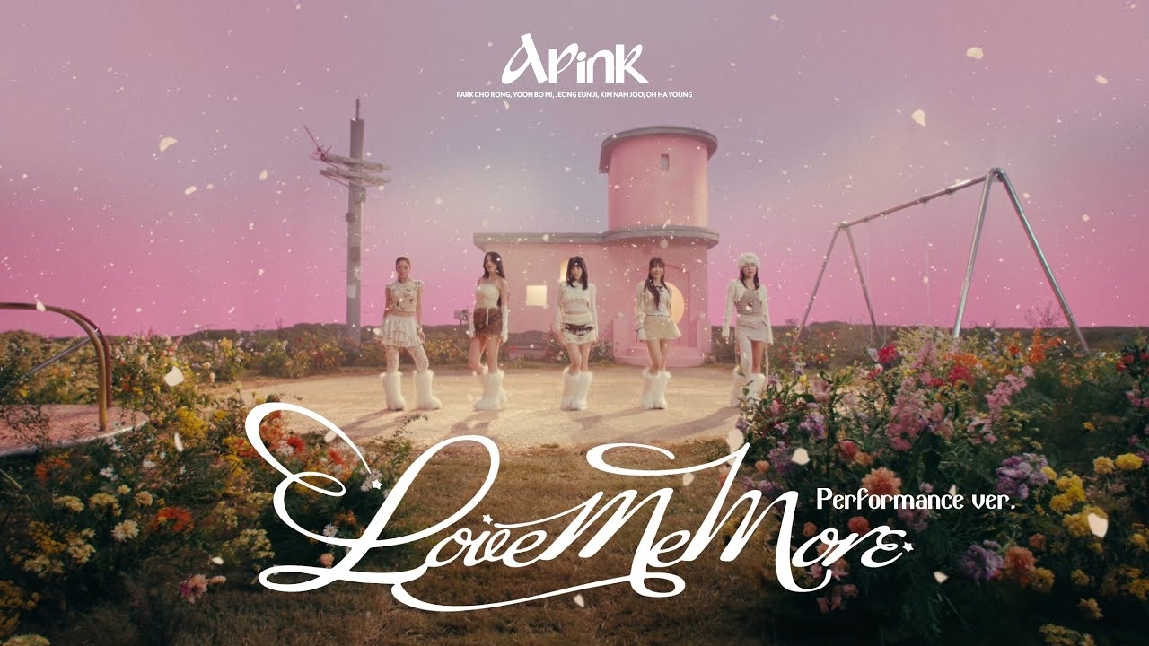 Momen yang diabadikan oleh penggemar Apink