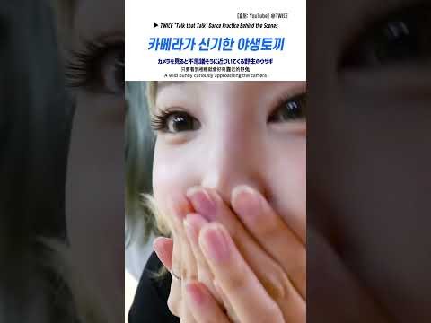 Latest photo of TWICE