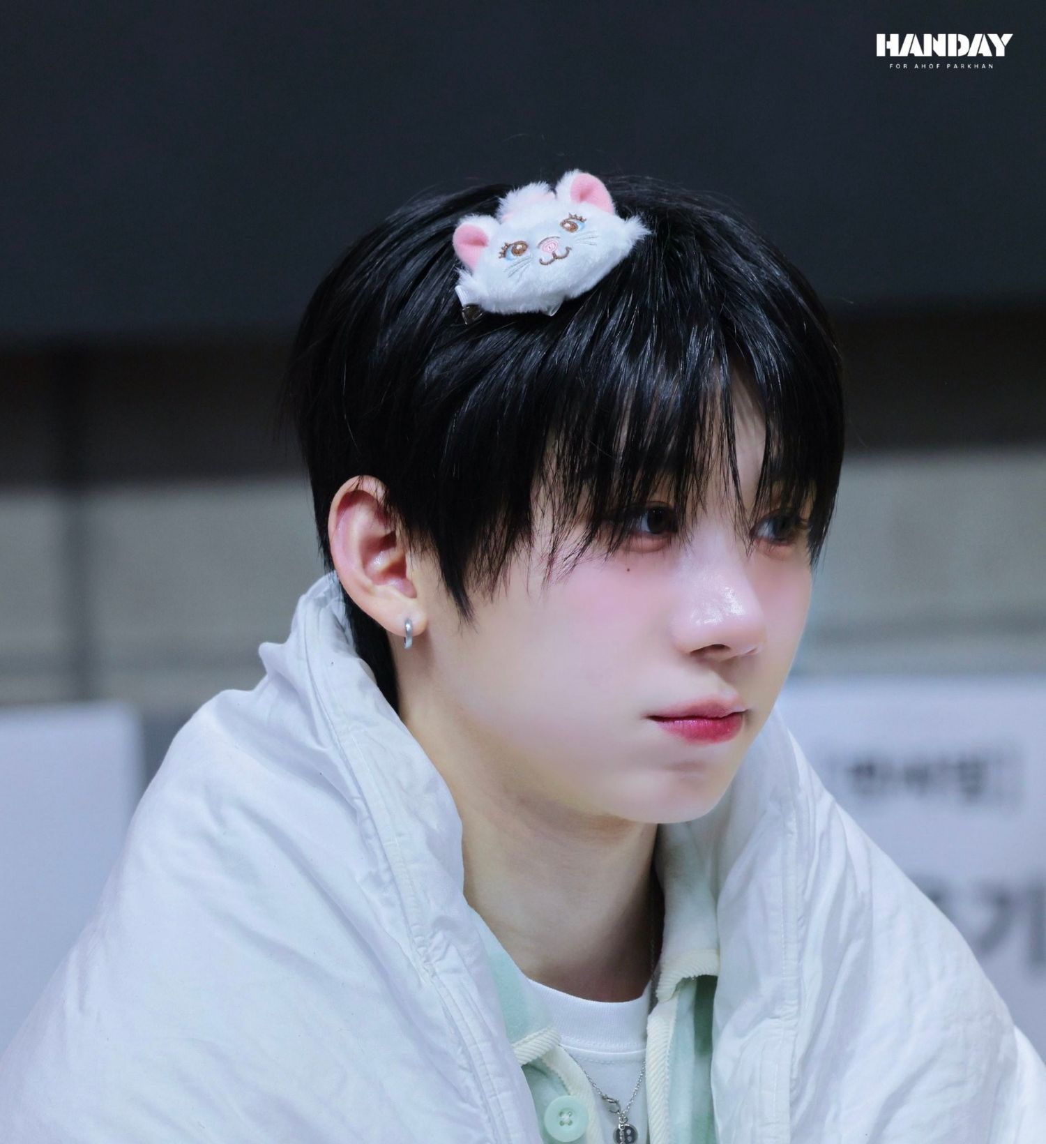 Recent activity shot of Park Han (AHOF)