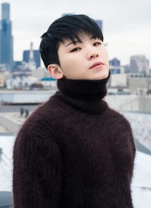 Recent activity shot of Woozi (SEVENTEEN)