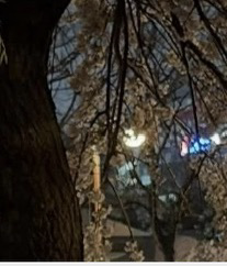 K-POP posts beloved by 산 (에이티즈) fans