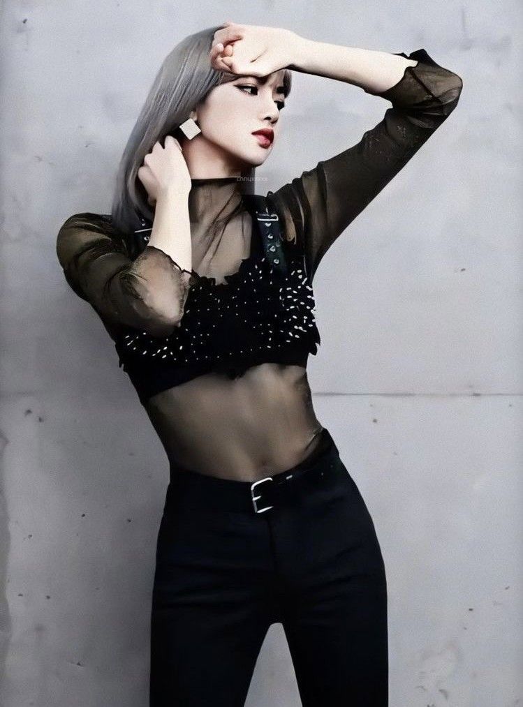 리사 (BLACKPINK) 팬이 찍은 순간