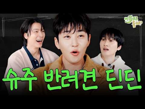 Foto aktivitas terbaru Super Junior