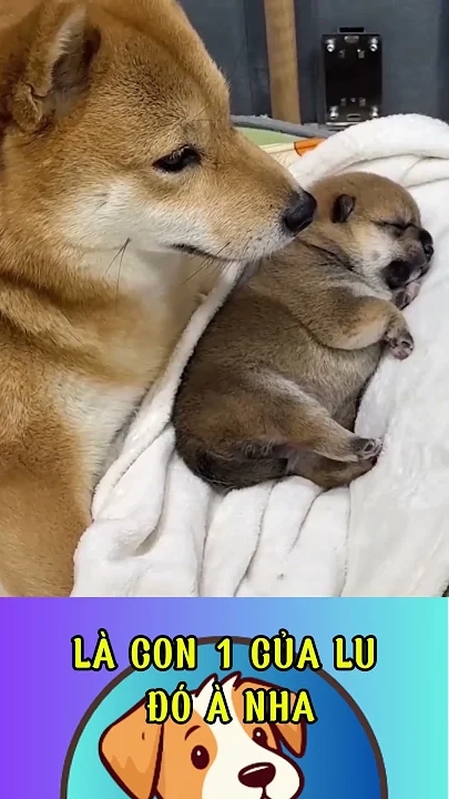 Recent activity shot of BTS