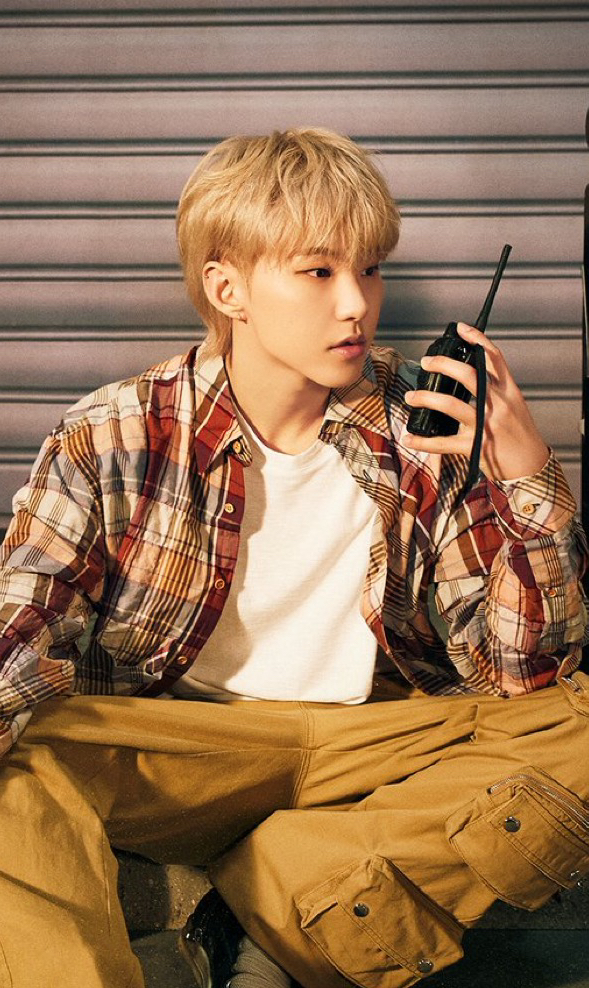 Fan-made special wallpaper for Hoshi (SEVENTEEN)