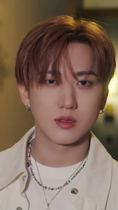 チャンビン (Stray Kids)ファンが撮った瞬間