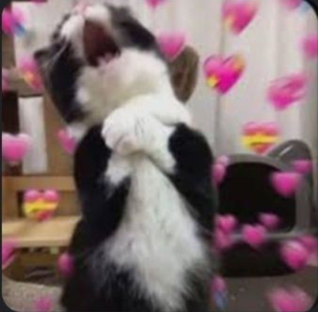 Recent activity shot of Moonbin (ASTRO)