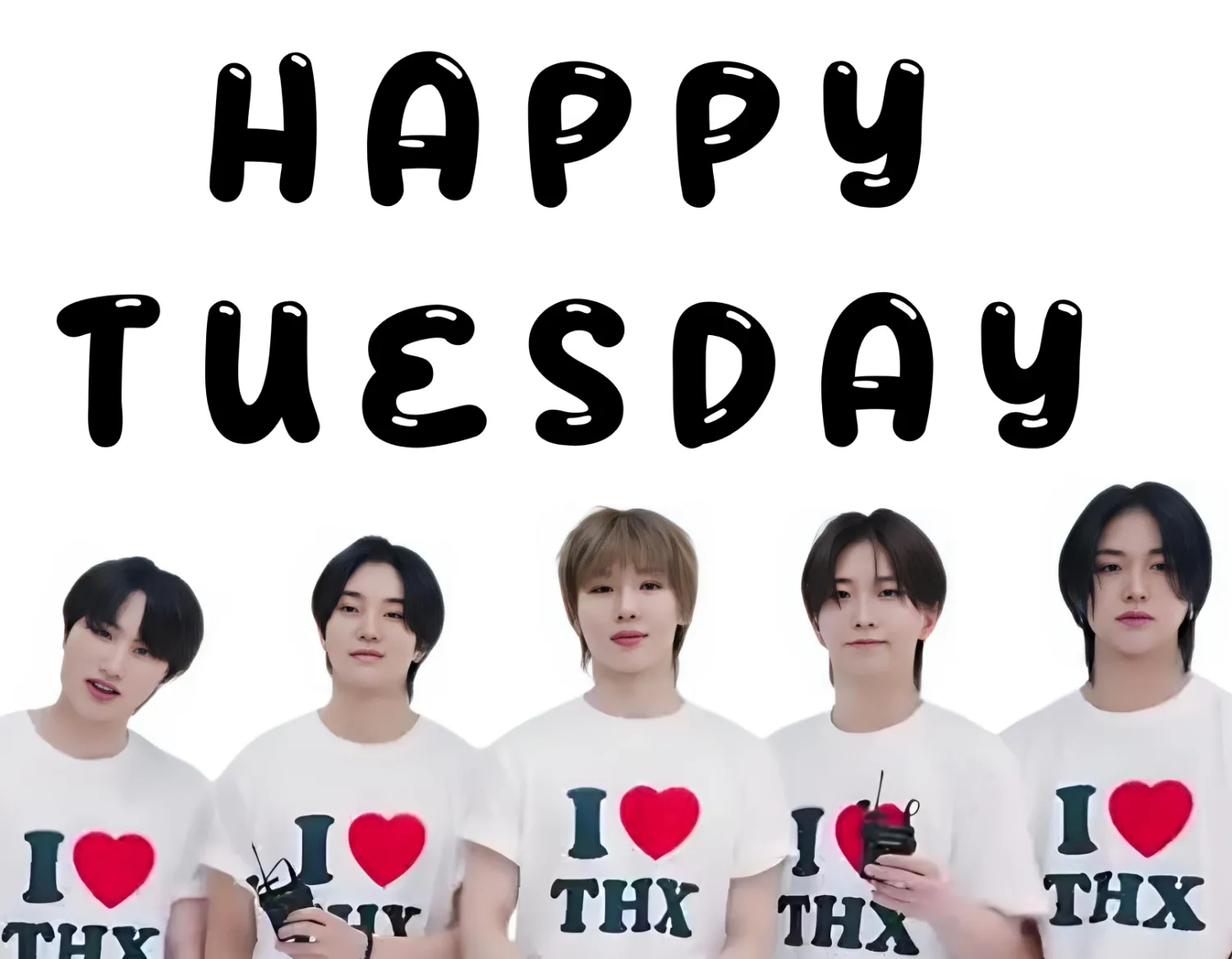 TNX 최근 활동샷