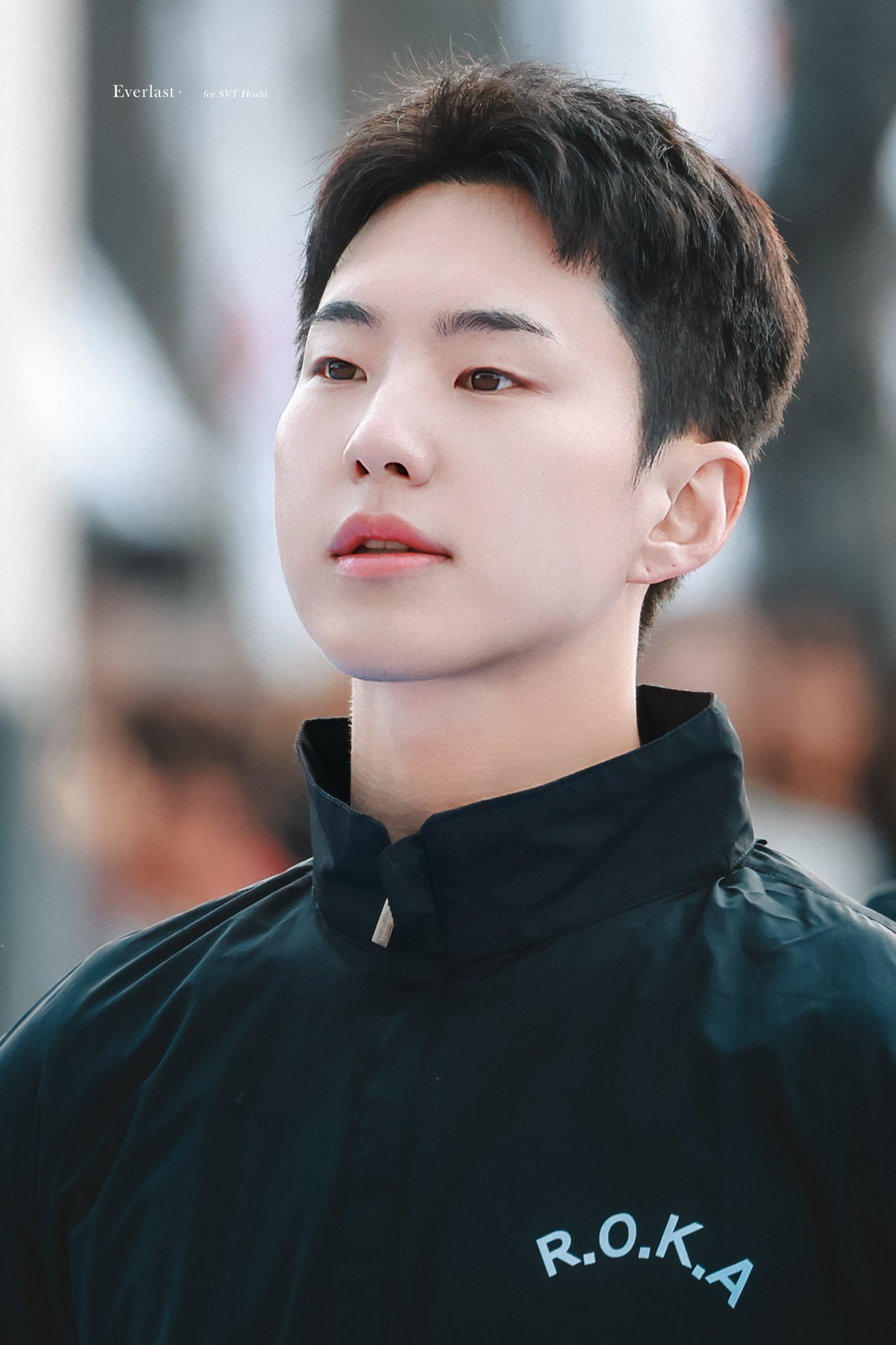 A moment captured by Hoshi (SEVENTEEN)'s fan