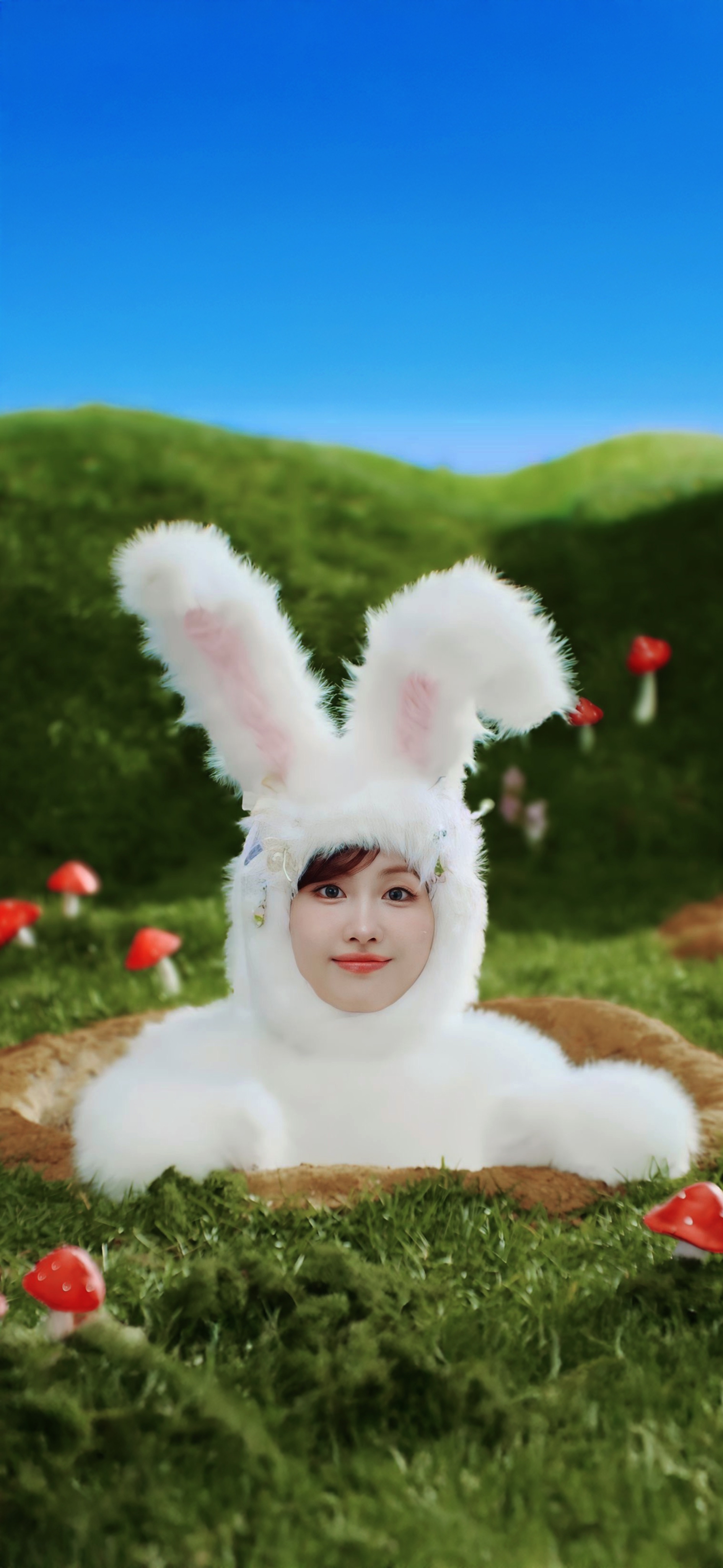 모모 (TWICE) 커뮤니티에서 인기있는 오늘의 배경화면