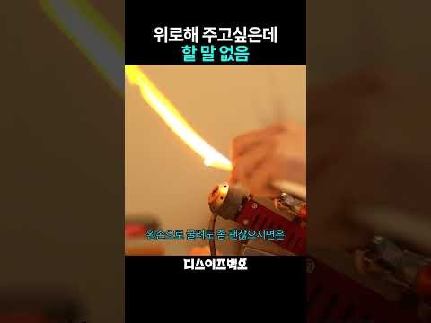 백호 팬이 찍은 순간