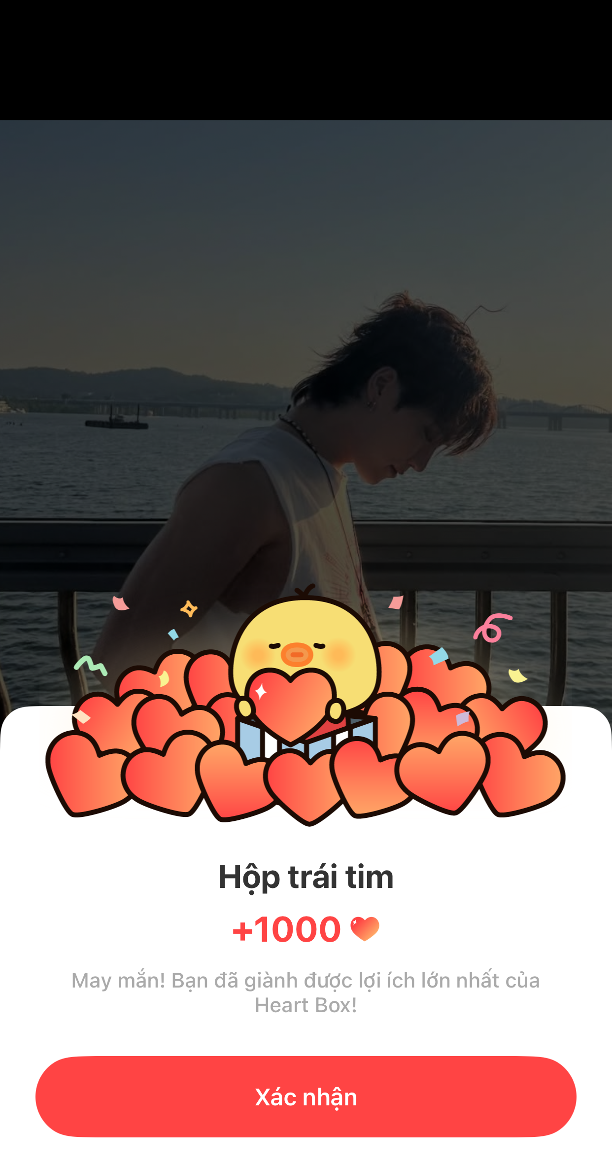 Today's most popular wallpaper in the Dino (SEVENTEEN) community